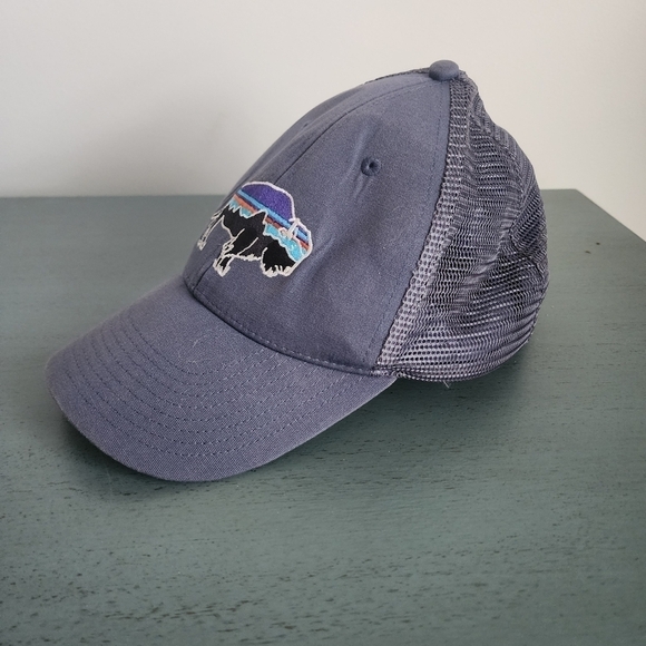 Patagonia Fitz Roy Trout Trucker Hat for Mens - Picture 3 of 9